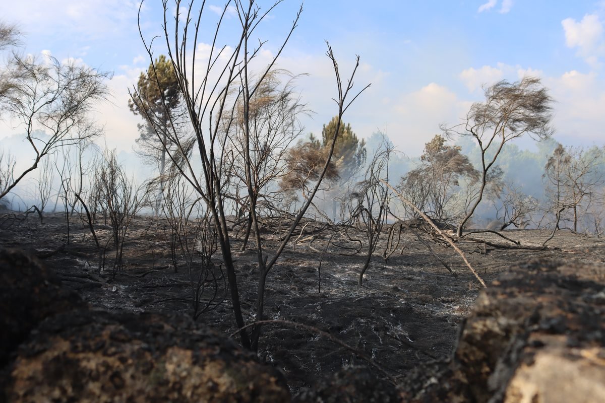 Fogo que deflagrou em Boticas está em fase de resolução